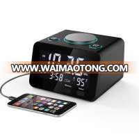 Multi-function Alarm Radio Clock, Indoor Thermometer, dual USB Charging port